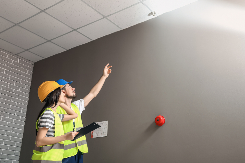 Renovlies voorbereiden in Leeuwarden voor een goede ondergrond en hechting van het behang.